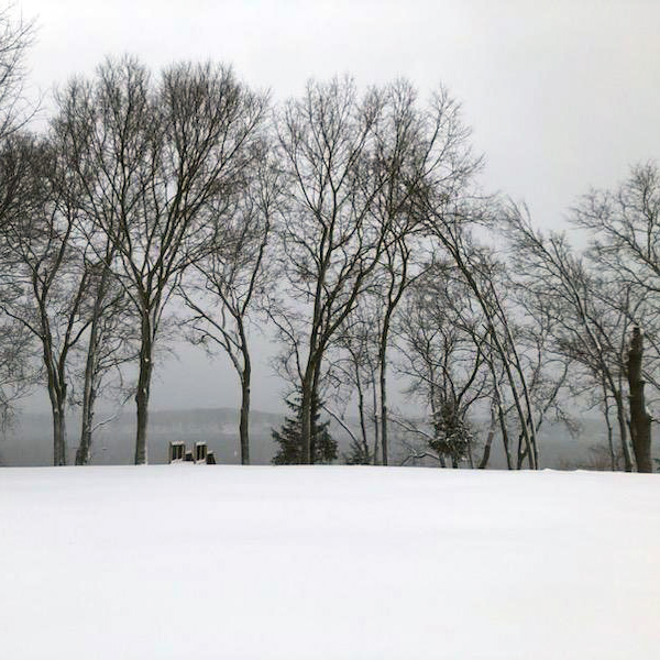 Friends of Lake Allegan