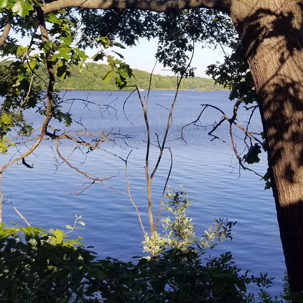 Friends of Lake Allegan