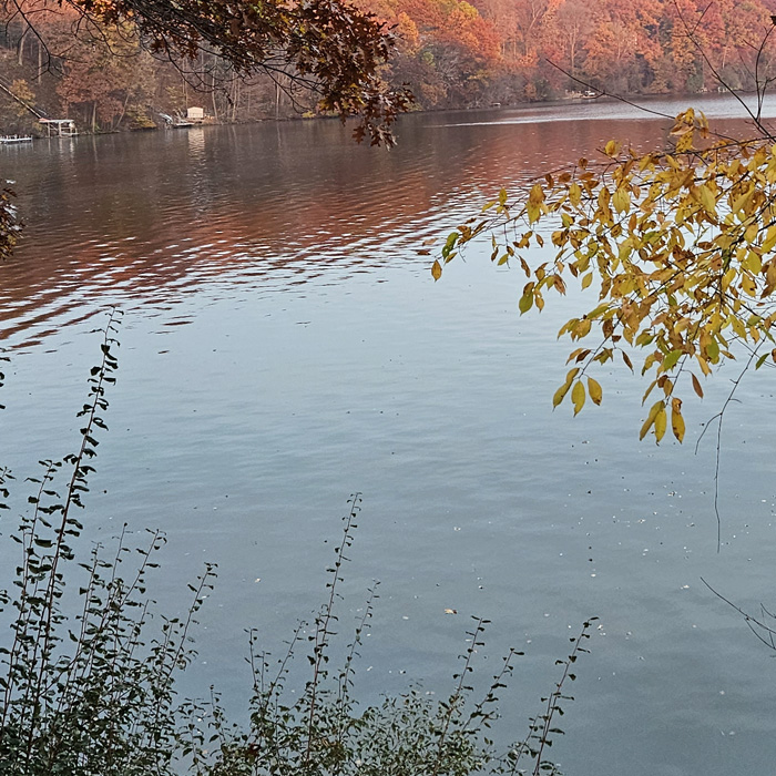 Friends of Lake Allegan